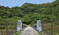 yui-240324.jpg