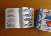zkan2_180512.jpg