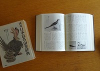 zkan_180512.jpg